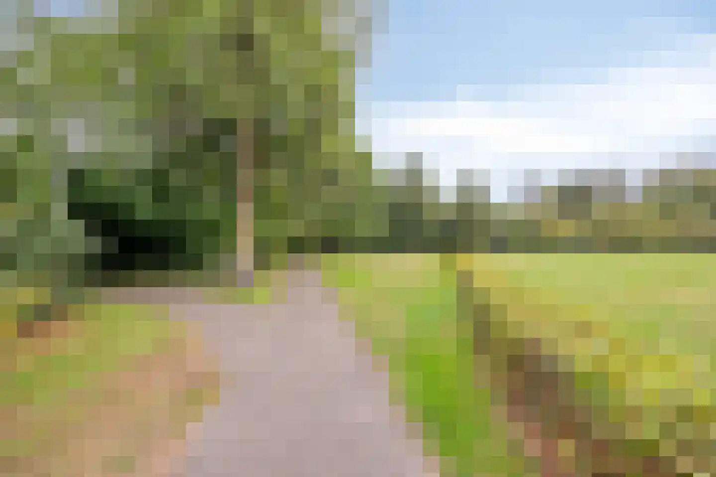 Symfonie 18 Uden thumbnail 39