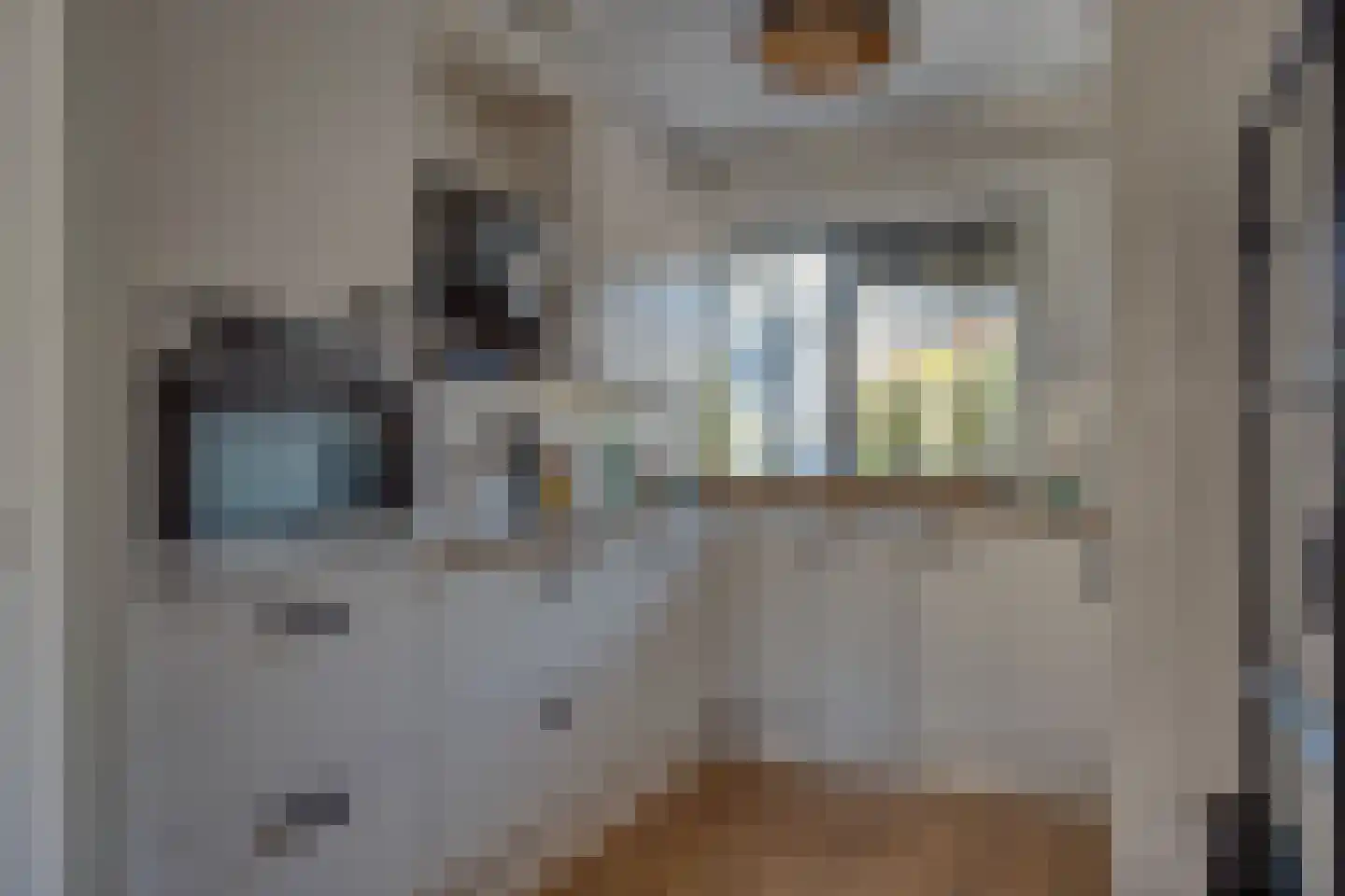 Symfonie 20 Zwijndrecht thumbnail 19