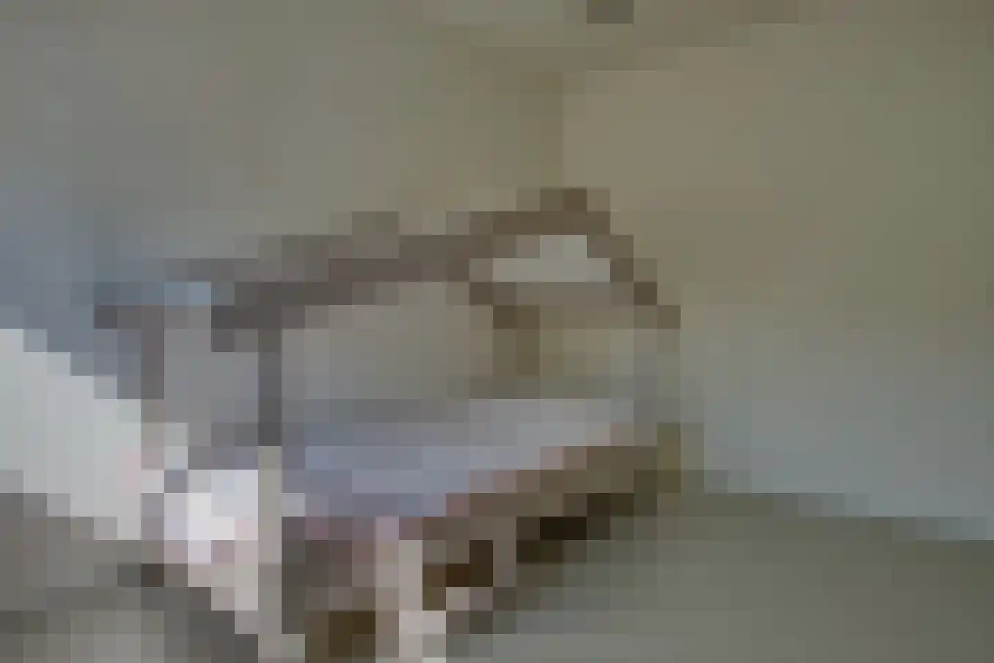 Symfonie 20 Zwijndrecht thumbnail 30