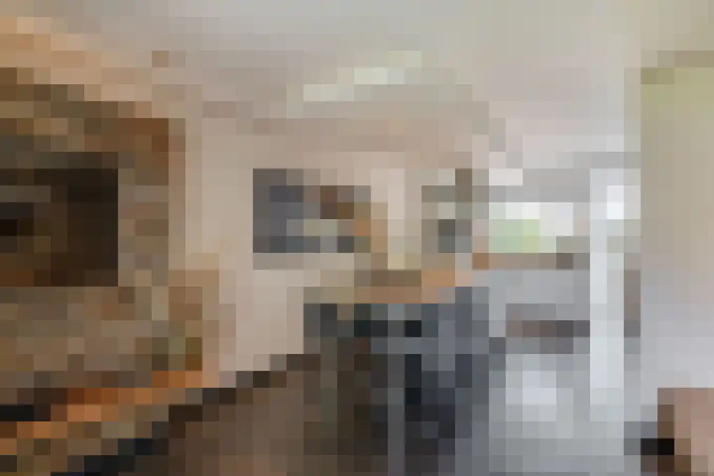 Symfonie 38 Zwijndrecht thumbnail 11