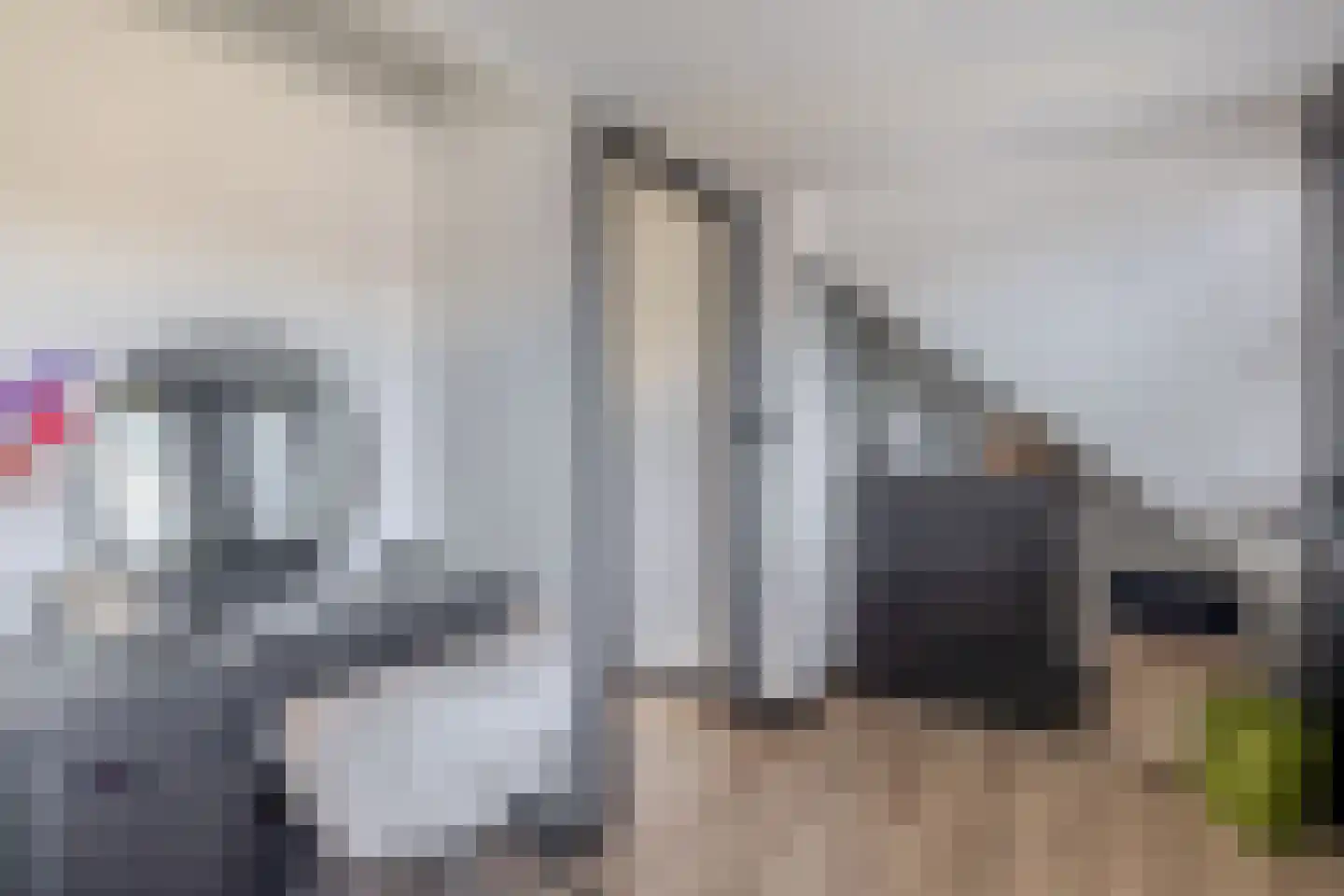 Symfonie 38 Zwijndrecht thumbnail 33