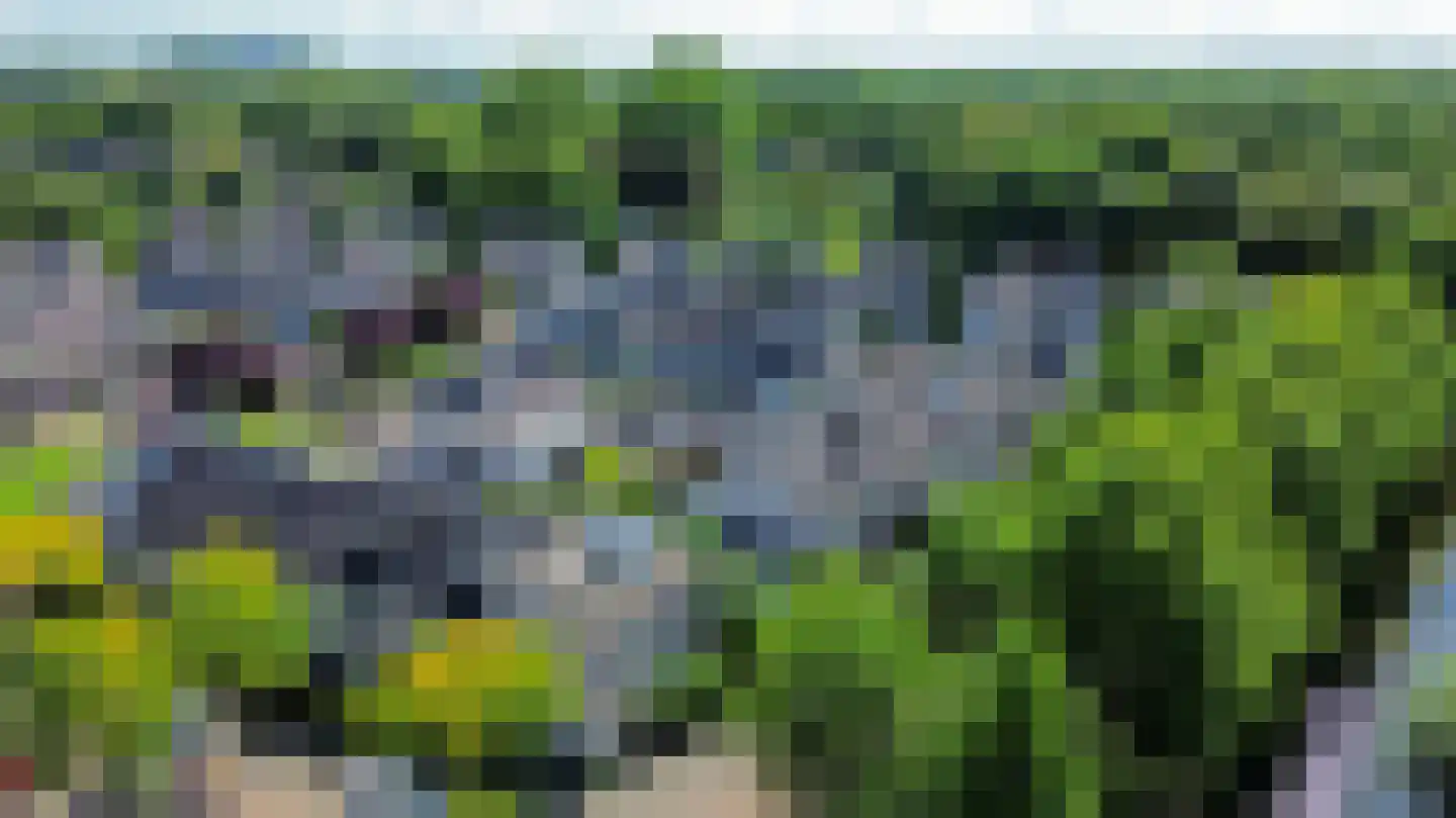 Symfonie 38 Zwijndrecht thumbnail 35