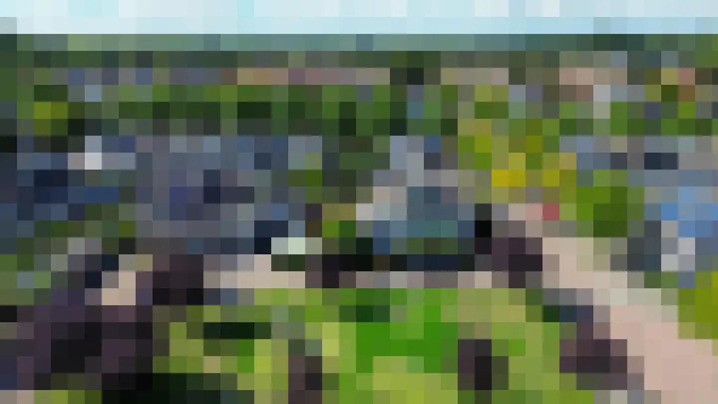 Symfonie 38 Zwijndrecht thumbnail 36