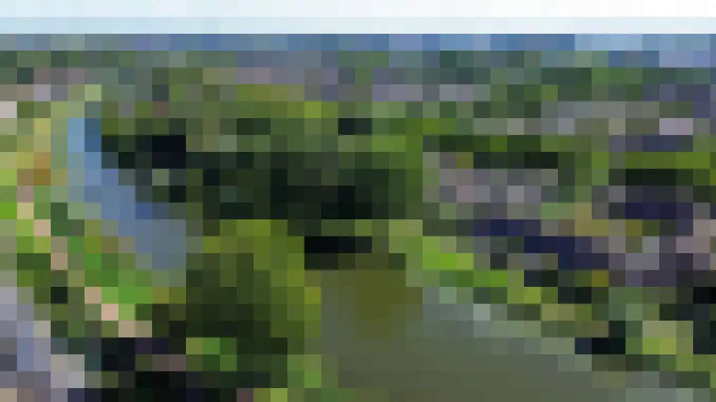 Symfonie 38 Zwijndrecht thumbnail 37