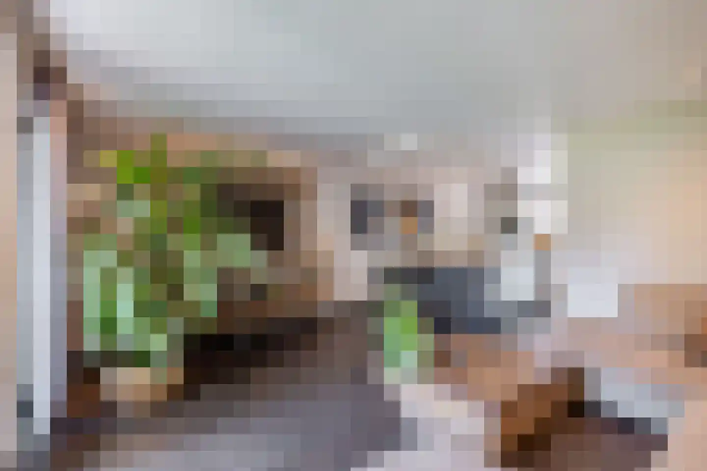 Symfonie 38 Zwijndrecht thumbnail 5