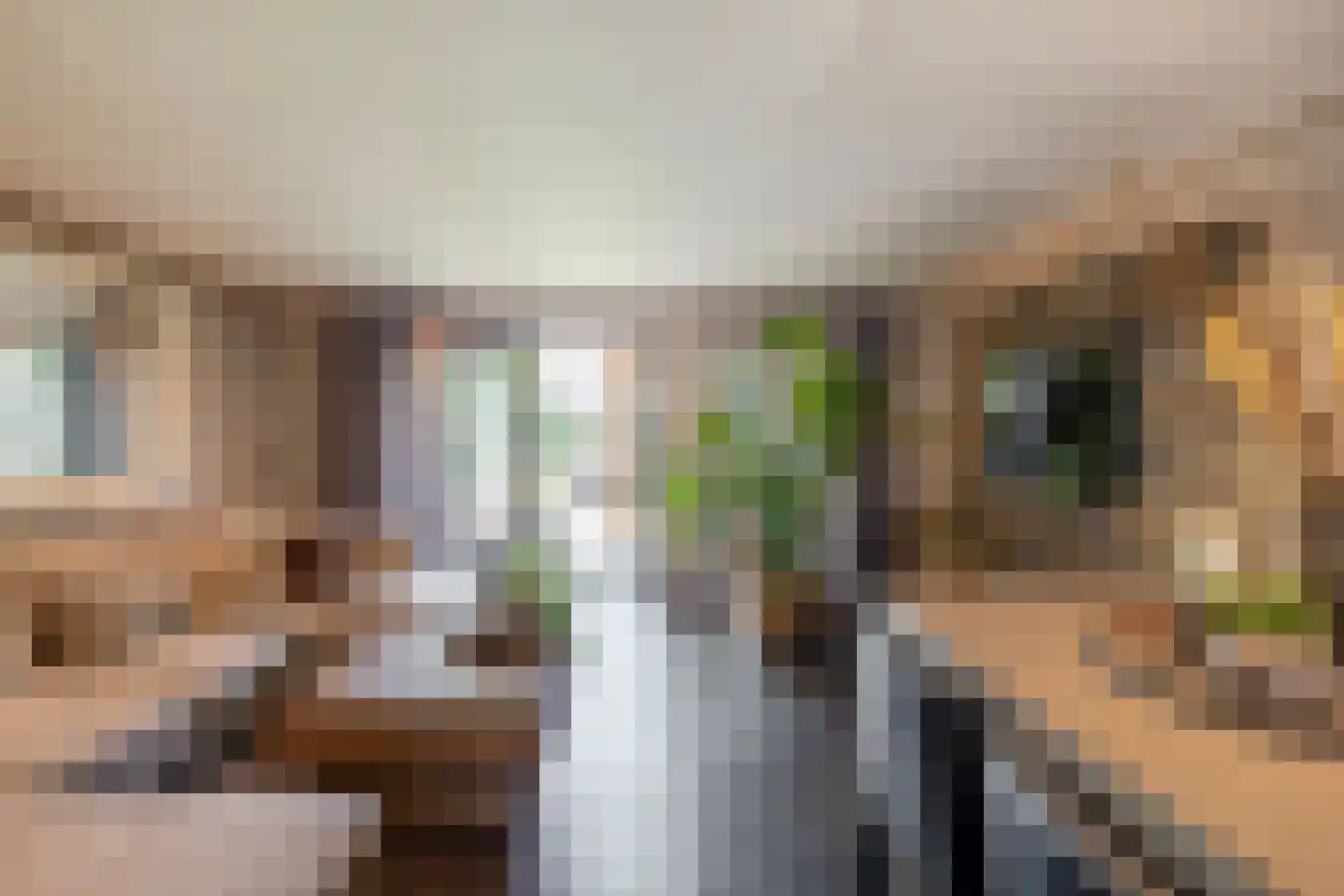 Symfonie 38 Zwijndrecht thumbnail 8