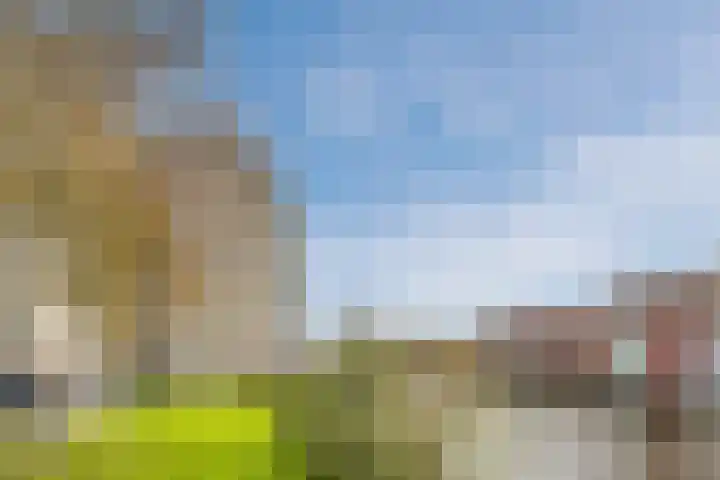 Symfonie 51 Zaandam thumbnail 31