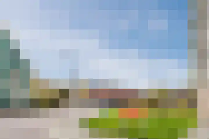 Symfonie 51 Zaandam thumbnail 33