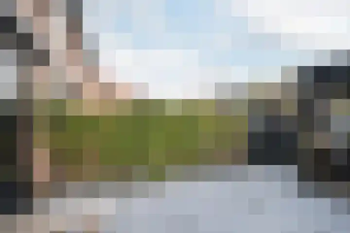 Symfonie 55 Honselersdijk thumbnail 10