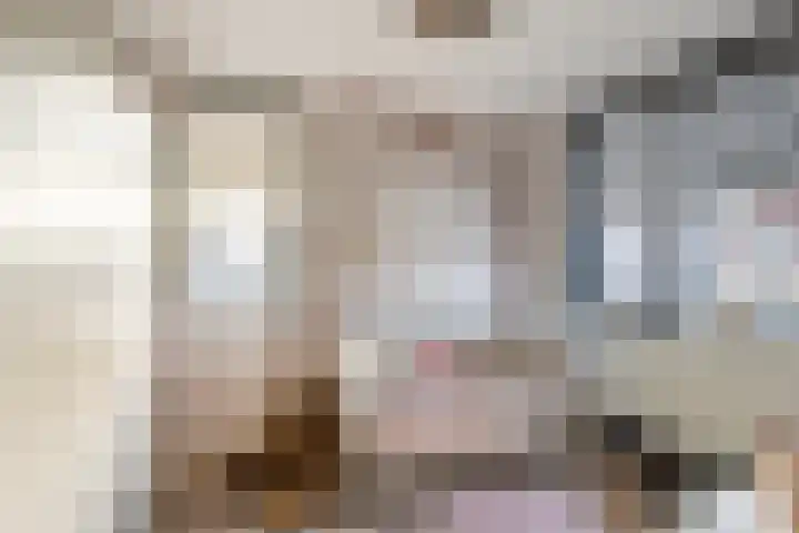 Symfonie 55 Honselersdijk thumbnail 19