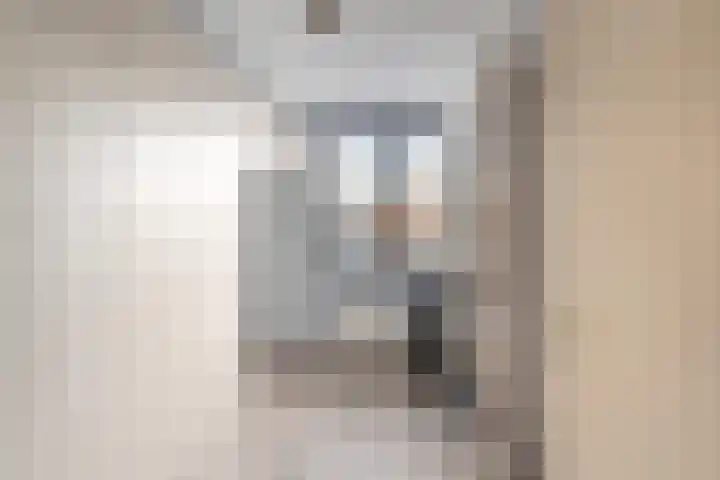 Symfonie 55 Honselersdijk thumbnail 22