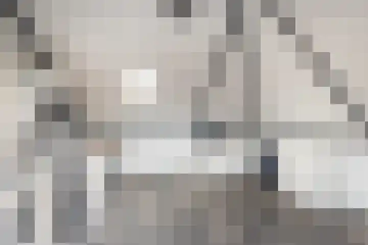 Symfonie 55 Honselersdijk thumbnail 24