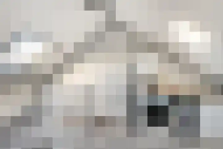 Symfonie 55 Honselersdijk thumbnail 26