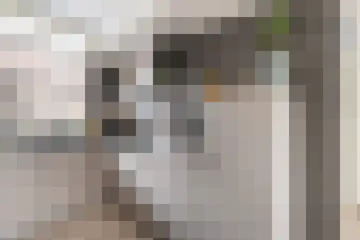 Symfonie 55 Honselersdijk thumbnail 4
