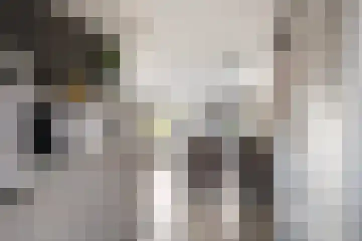 Symfonie 55 Honselersdijk thumbnail 5