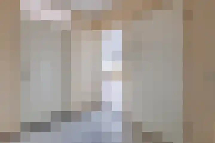 Symfonie 55 Zaandam thumbnail 22