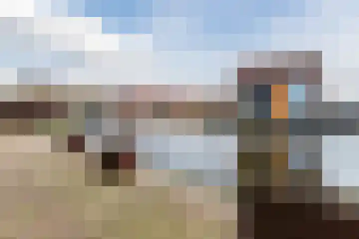 Symfonie 55 Zaandam thumbnail 31
