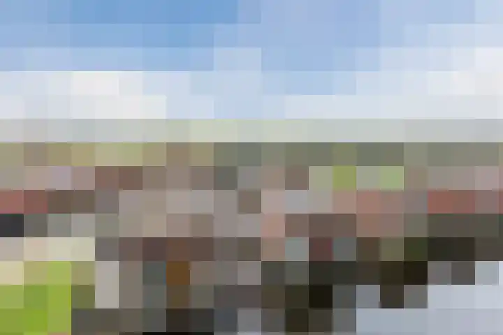 Symfonie 55 Zaandam thumbnail 4