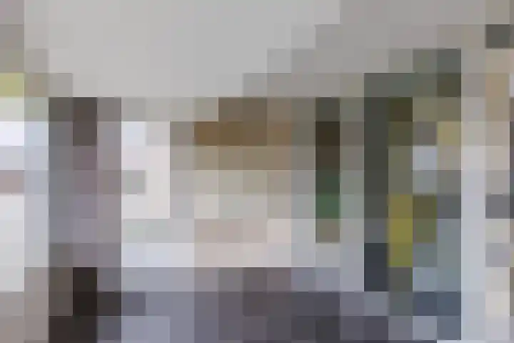 Symfonie 55 Zaandam thumbnail 6