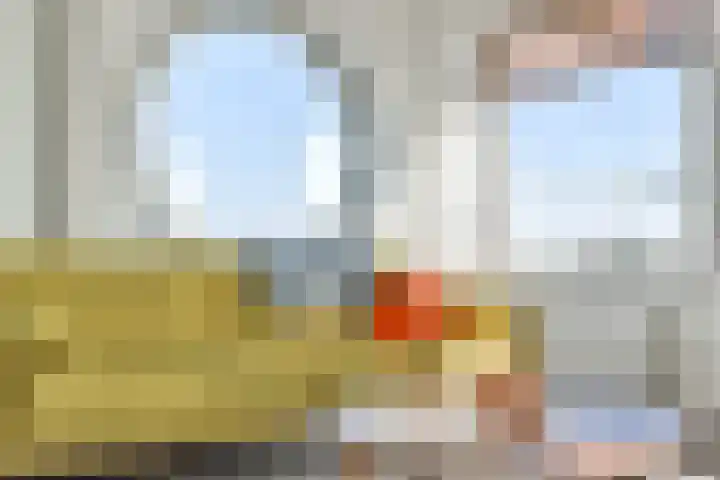 Symfonie 57 Zaandam thumbnail 7