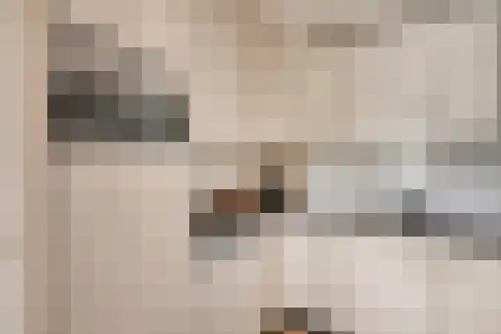 Symfonie 7 Uden thumbnail 10