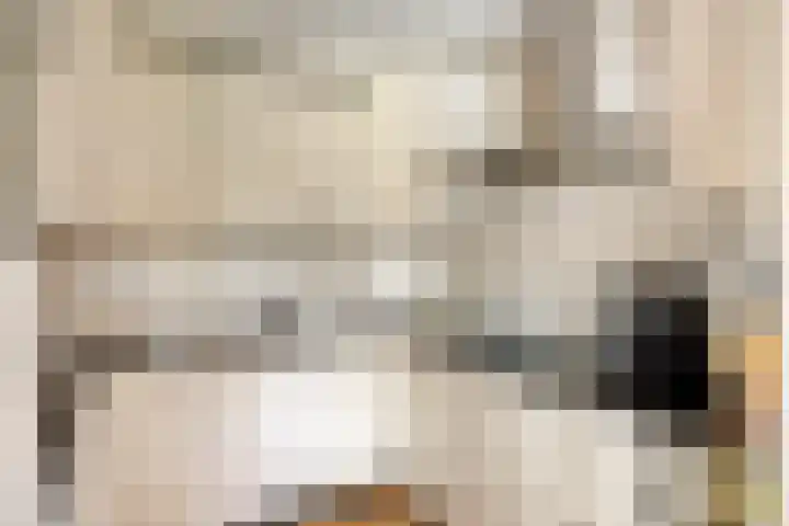 Symfonie 7 Uden thumbnail 11