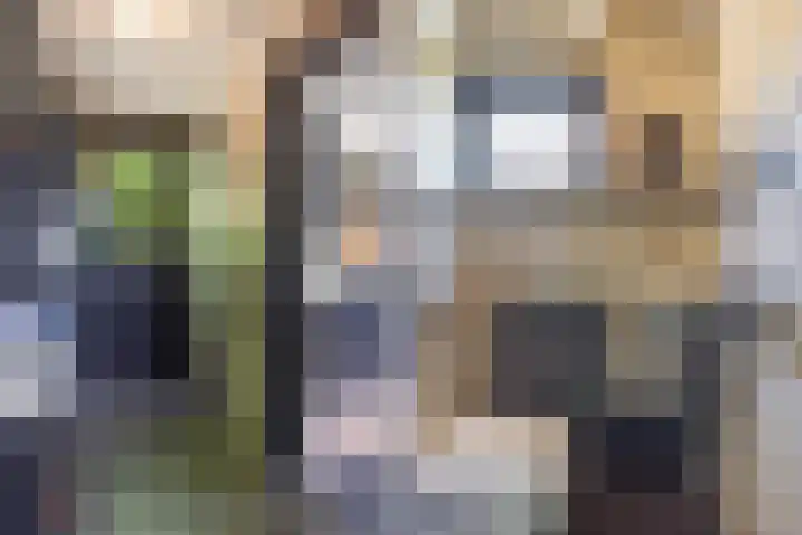 Symfonie 7 Uden thumbnail 26