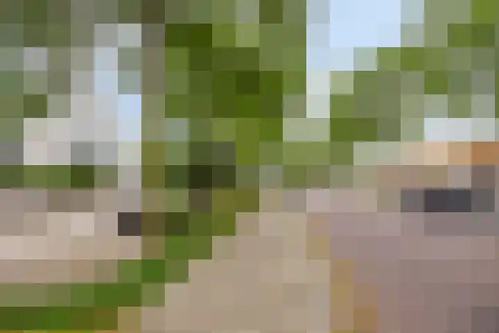 Symfonie 7 Uden thumbnail 32