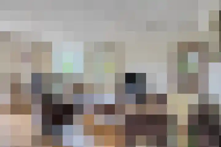 Symfonie 7 Uden thumbnail 4