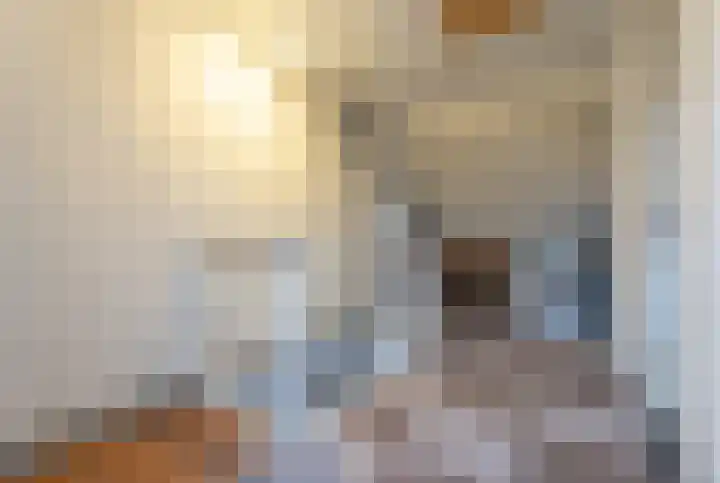 Symfonielaan 10 Spijkenisse thumbnail 28