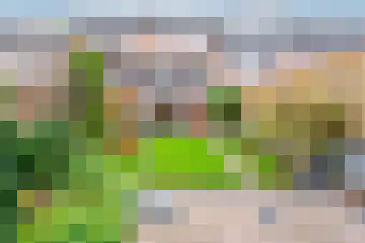 Symfonielaan 10 Spijkenisse thumbnail 5