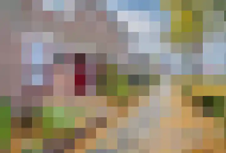 Symfonielaan 10 Spijkenisse thumbnail 6