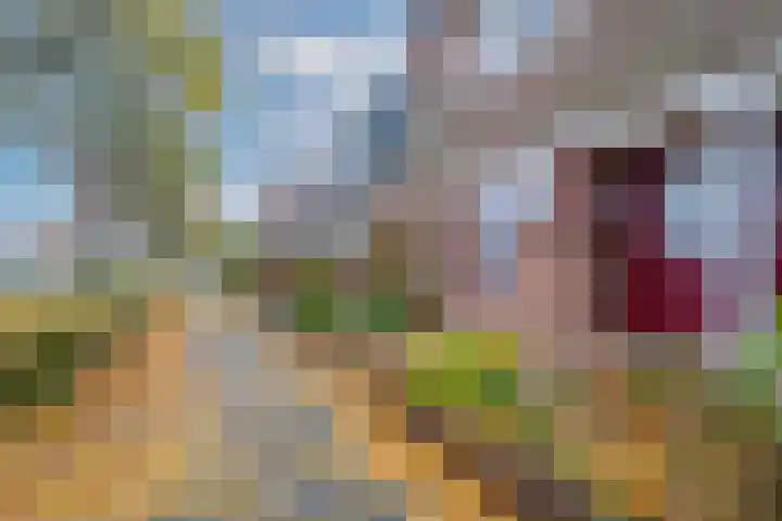 Symfonielaan 10 Spijkenisse thumbnail 7
