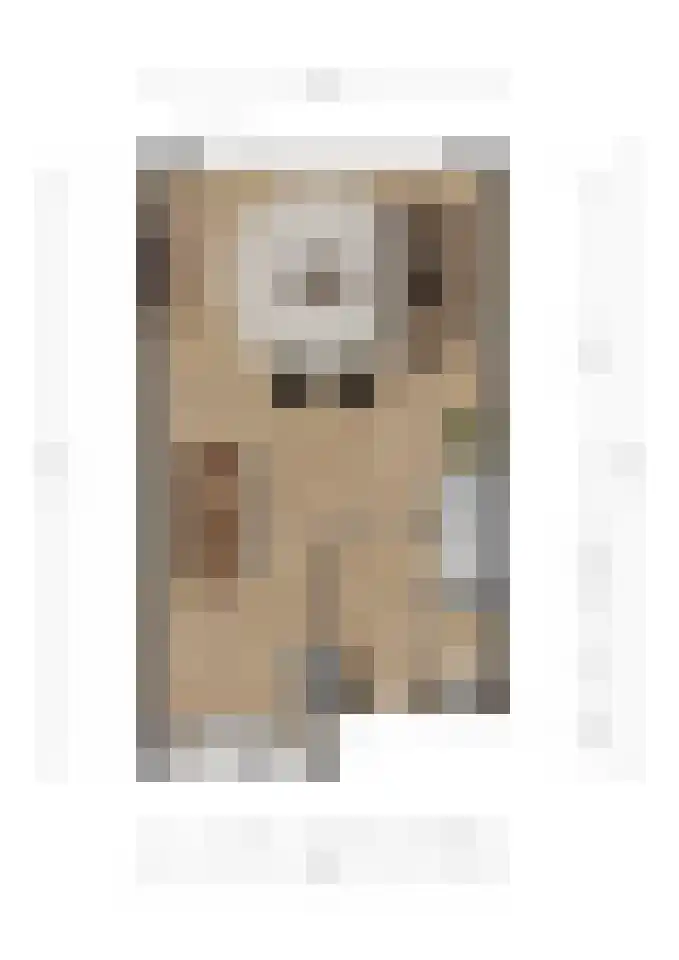 Symfonielaan 10 Spijkenisse thumbnail 8