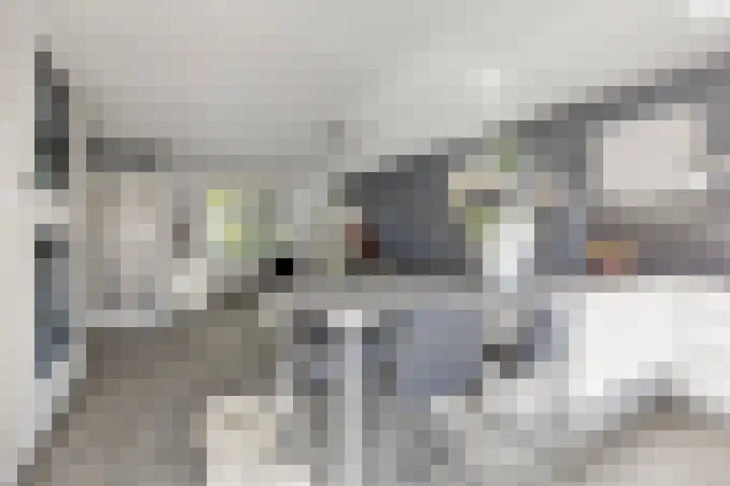 Symfonielaan 42 Spijkenisse thumbnail 10