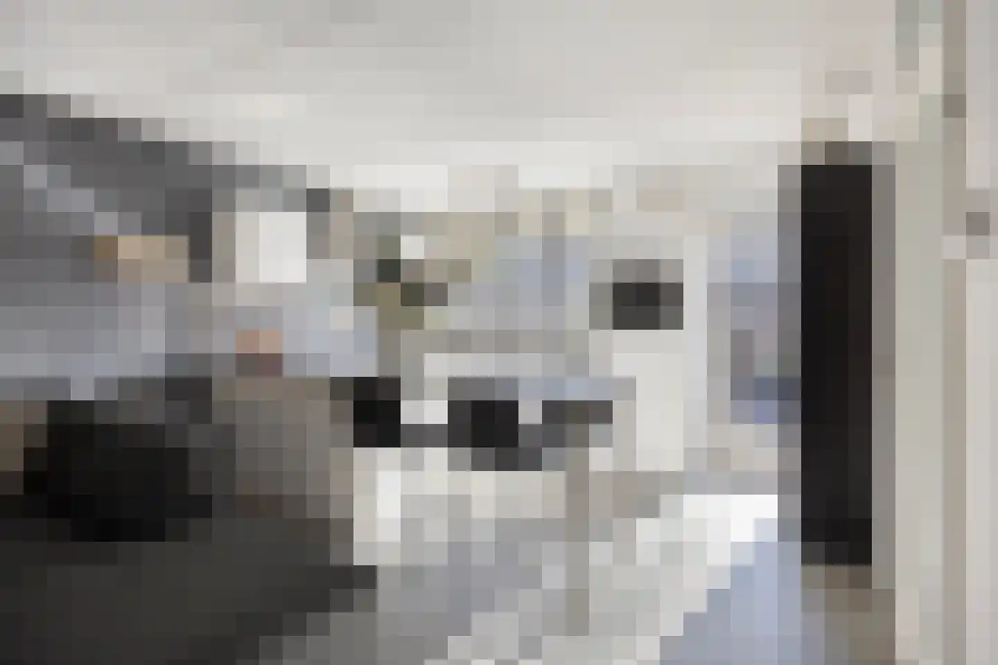 Symfonielaan 42 Spijkenisse thumbnail 11