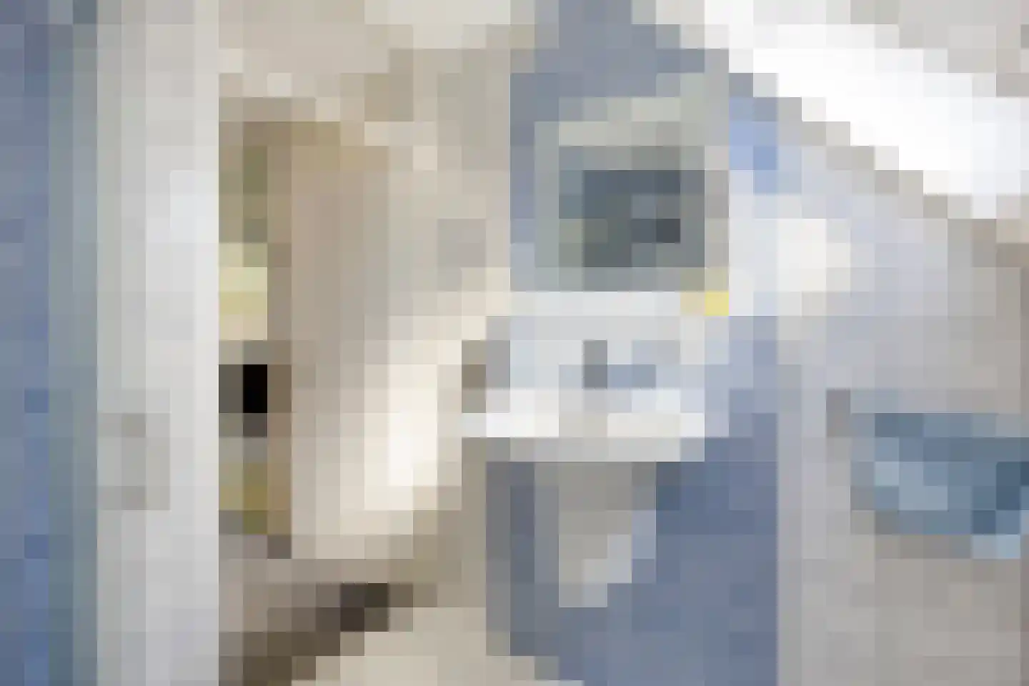 Symfonielaan 42 Spijkenisse thumbnail 14