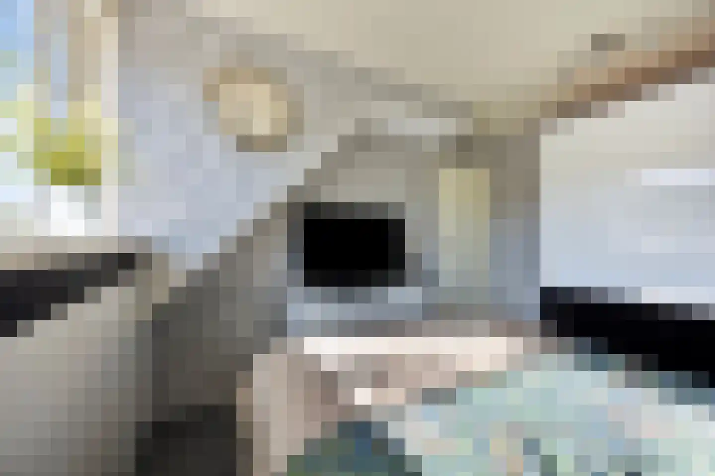 Symfonielaan 42 Spijkenisse thumbnail 20