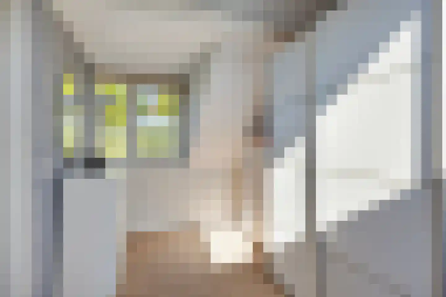 Symfonielaan 42 Spijkenisse thumbnail 23