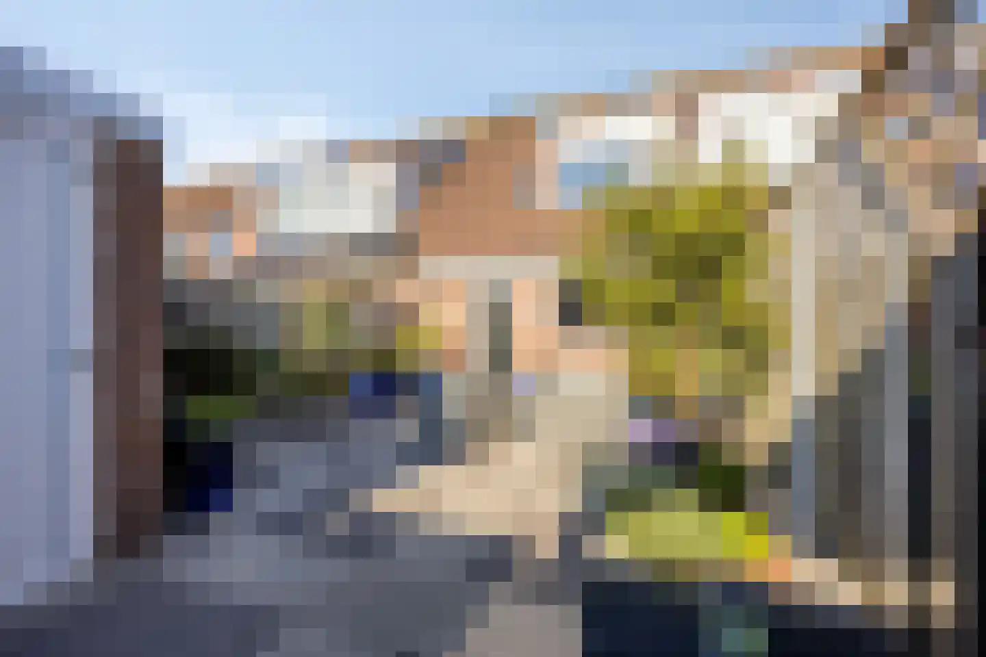 Symfonielaan 42 Spijkenisse thumbnail 27