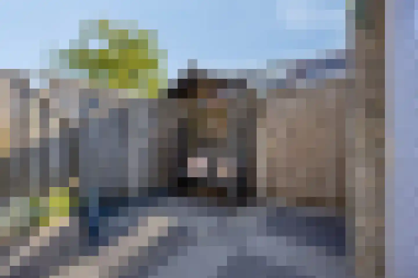 Symfonielaan 42 Spijkenisse thumbnail 28