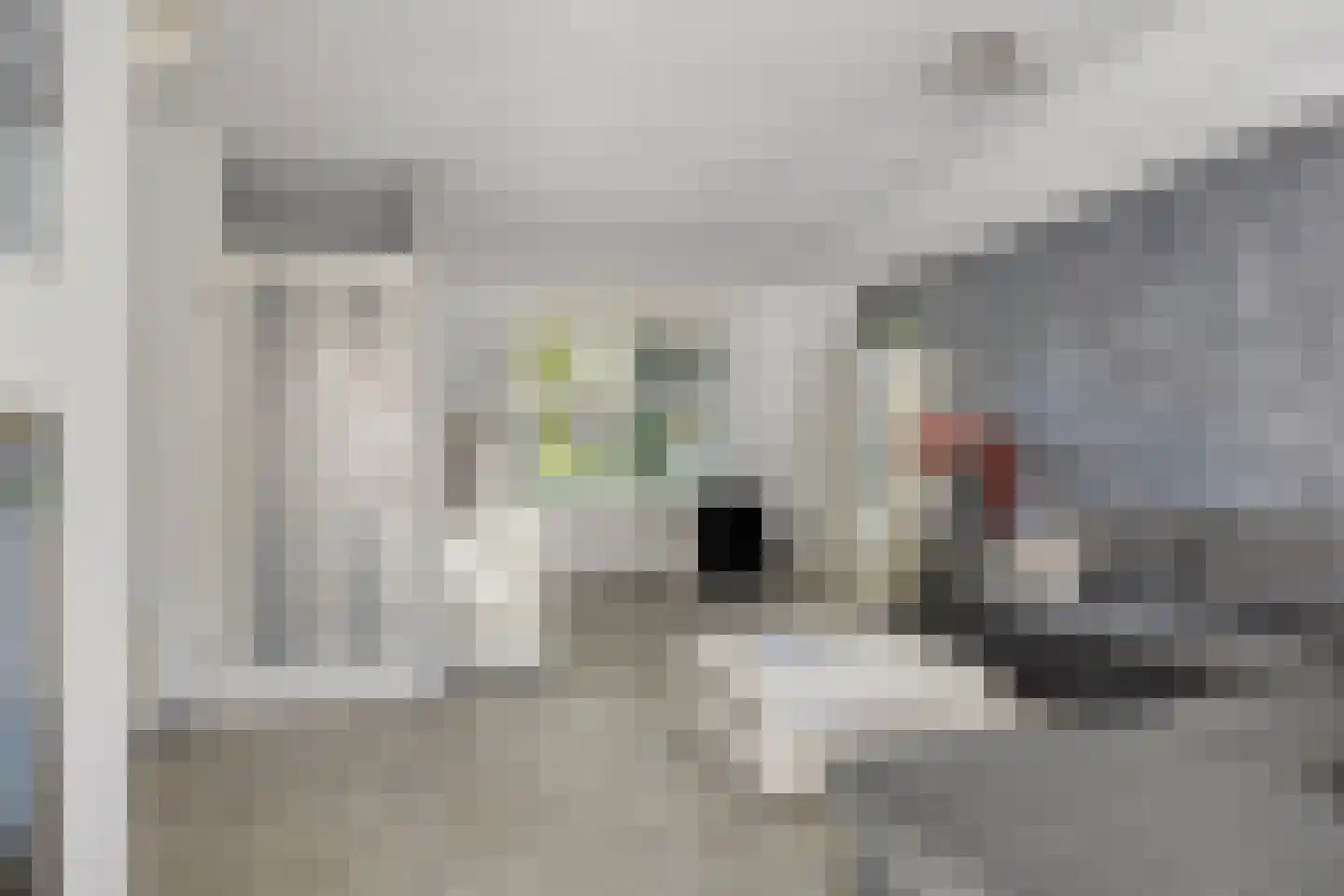 Symfonielaan 42 Spijkenisse thumbnail 5