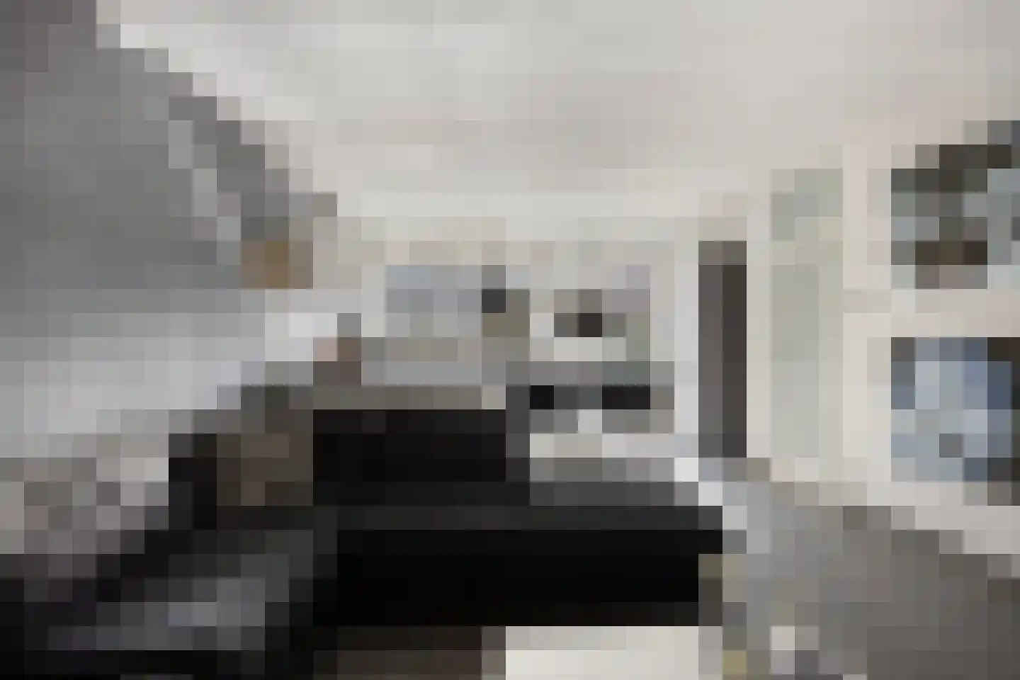 Symfonielaan 42 Spijkenisse thumbnail 6
