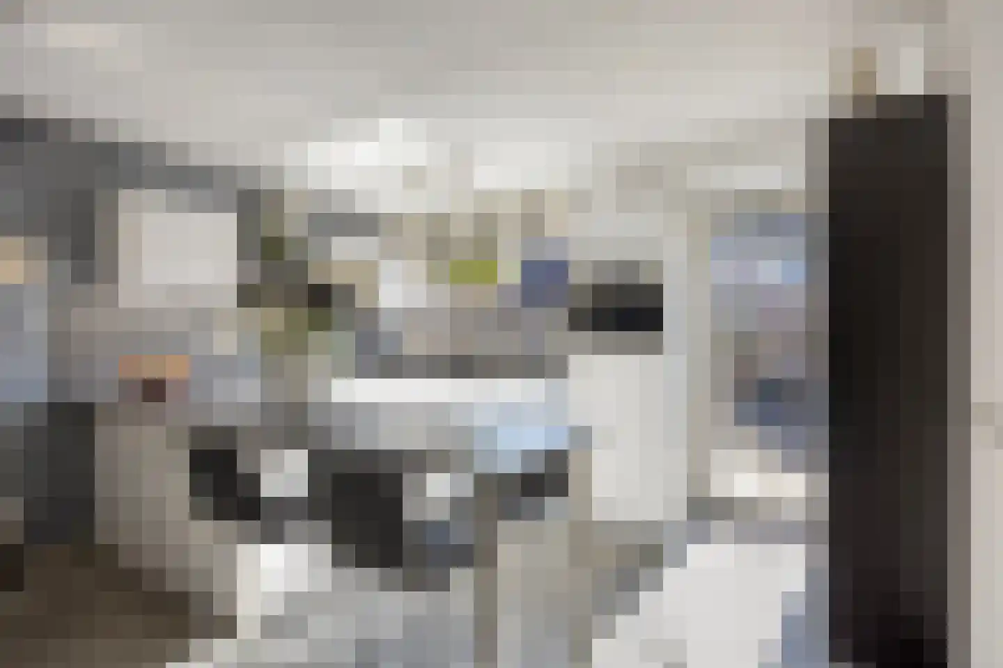 Symfonielaan 42 Spijkenisse thumbnail 8