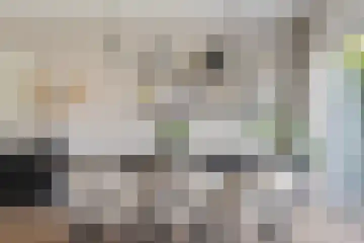 Symfoniestraat 11 Apeldoorn thumbnail 17