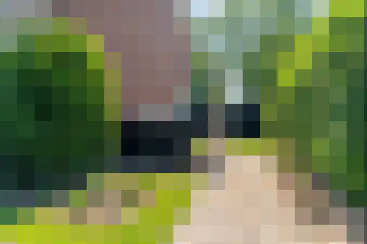 Symfoniestraat 11 Apeldoorn thumbnail 46