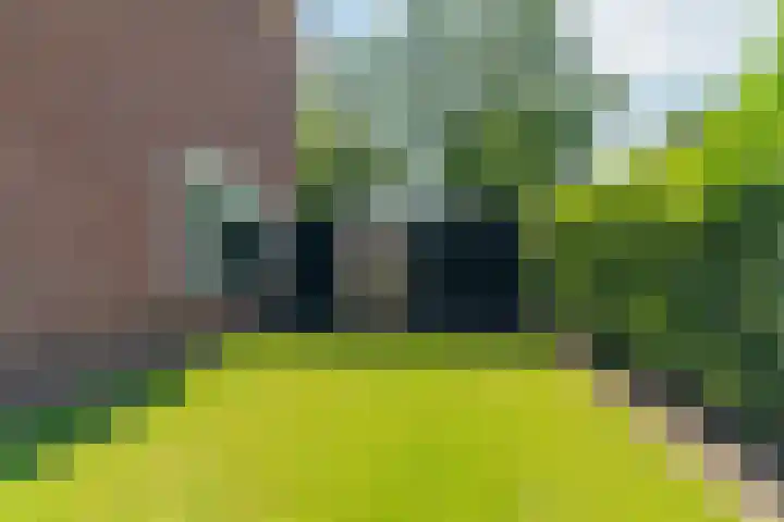 Symfoniestraat 11 Apeldoorn thumbnail 47