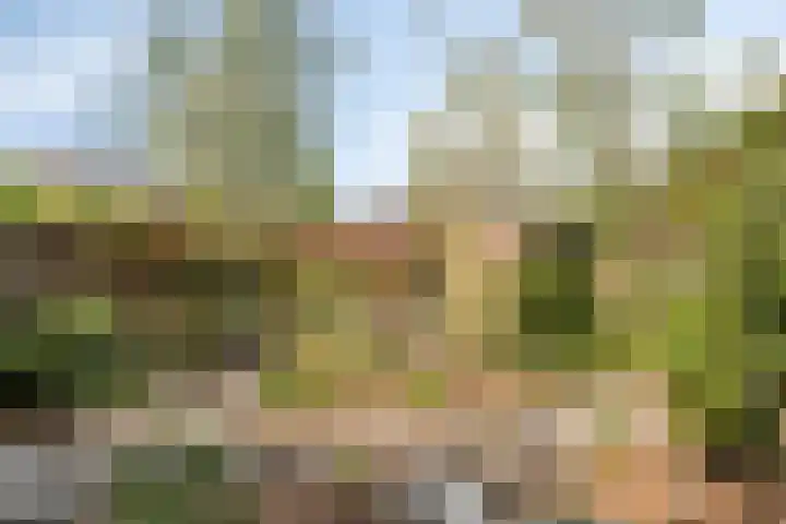 Symfoniestraat 13 Apeldoorn thumbnail 14