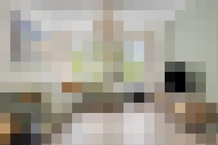 Symfoniestraat 13 Apeldoorn thumbnail 6