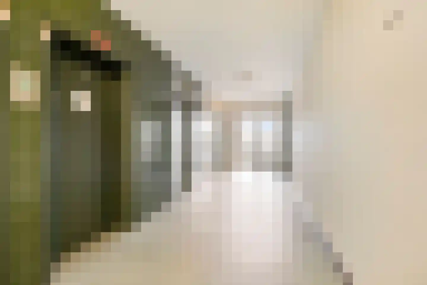 Symfoniestraat 20 Nijmegen thumbnail 20